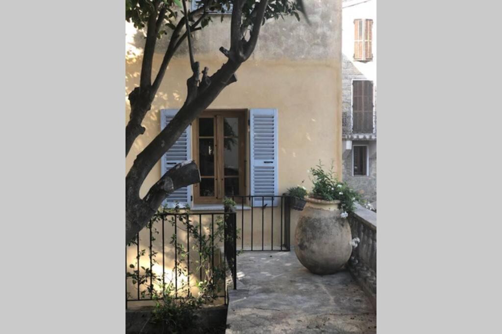 Appartement De Charme A Olmeto Olmeto  Εξωτερικό φωτογραφία