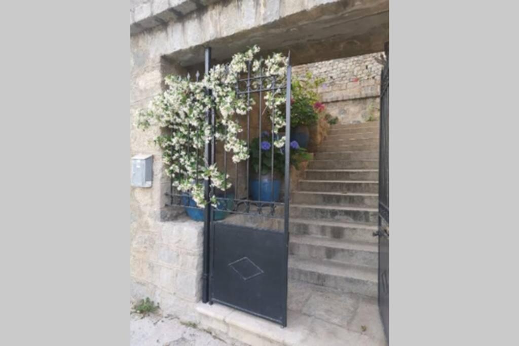 Appartement De Charme A Olmeto Olmeto  Εξωτερικό φωτογραφία